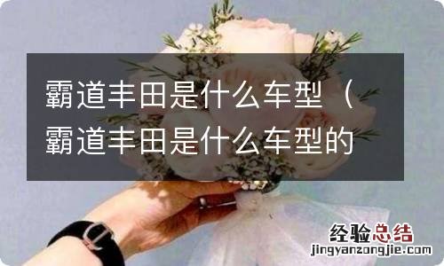 霸道丰田是什么车型的 霸道丰田是什么车型