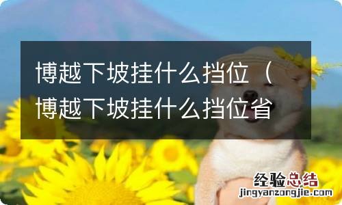 博越下坡挂什么挡位省油 博越下坡挂什么挡位