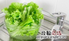 阳台怎么种生菜 阳台种植生菜的方法