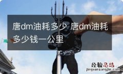 唐dm油耗多少 唐dm油耗多少钱一公里