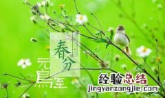 二十四节气中第四个节气介绍 二十四节气中第四个节气介绍图片