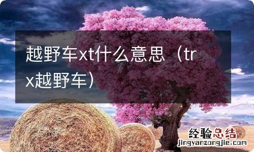 trx越野车 越野车xt什么意思