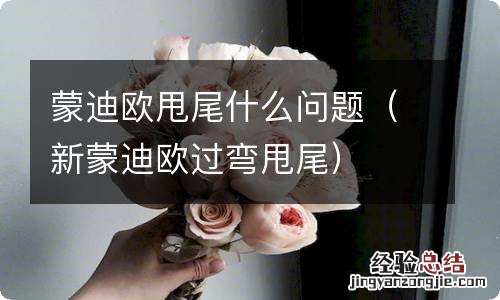 新蒙迪欧过弯甩尾 蒙迪欧甩尾什么问题