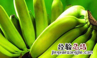 香蕉怎么种植方法如下 香蕉怎么种植方法如下图片