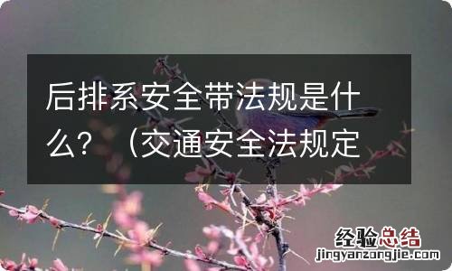 后排系安全带法规是什么？ 后排系安全带的规定