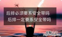 后排必须要系安全带吗 后排一定要系安全带吗?