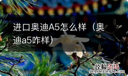 奥迪a5咋样 进口奥迪A5怎么样