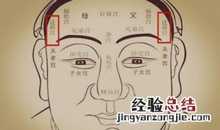 驿马骨在什么地方 驿马骨位置图