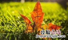 秋分节气的含义是什么意思看录像 秋分节气意味着什么