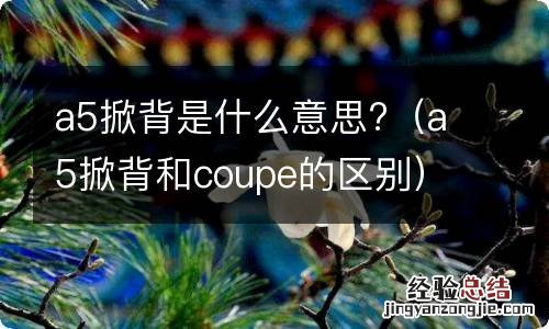 a5掀背和coupe的区别 a5掀背是什么意思?