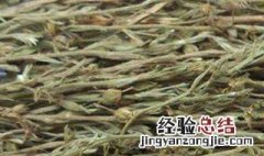 广西独脚金种植方法 广西独脚金多少钱一斤