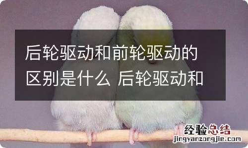 后轮驱动和前轮驱动的区别是什么 后轮驱动和前轮驱动的区别是什么意思
