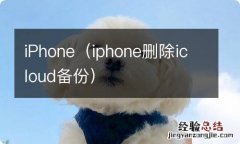 iphone删除icloud备份 iPhone