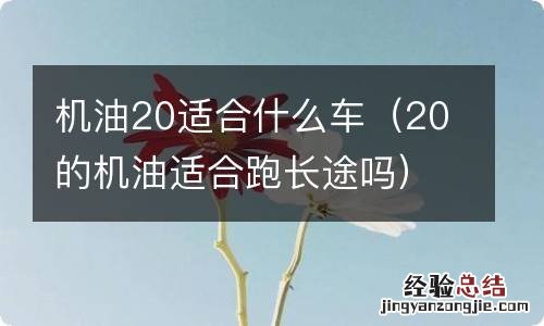 20的机油适合跑长途吗 机油20适合什么车