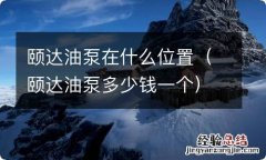 颐达油泵多少钱一个 颐达油泵在什么位置