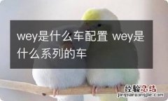 wey是什么车配置 wey是什么系列的车