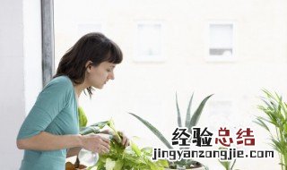 楼房地暖养花注意哪些 地暖房间养花