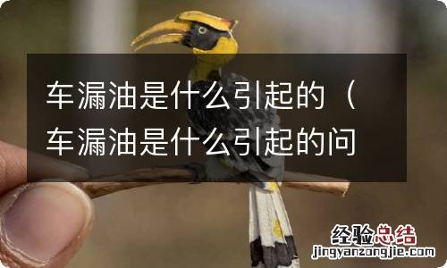 车漏油是什么引起的问题 车漏油是什么引起的