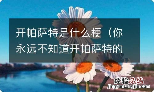 你永远不知道开帕萨特的是什么人 开帕萨特是什么梗