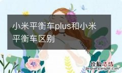 小米平衡车plus和小米平衡车区别