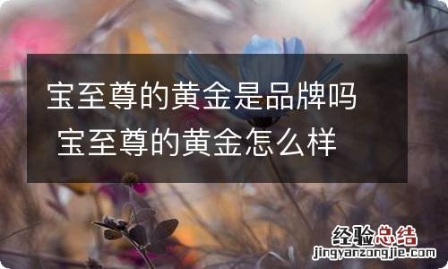 宝至尊的黄金是品牌吗 宝至尊的黄金怎么样