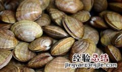 贝壳类属于干垃圾还是湿垃圾 贝壳类到底是什么垃圾呢