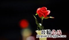 干花束包装保存方法 干花束包装如何保存