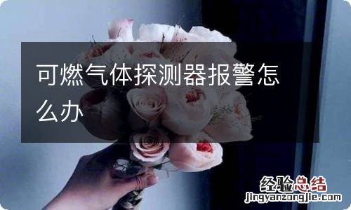 可燃气体探测器报警怎么办