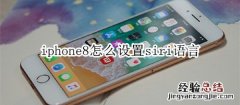 iphone8怎么设置siri语言