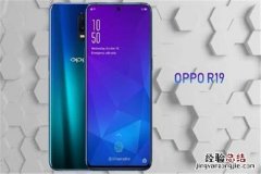 oppor19什么时候上市