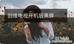 创维电视开机后黑屏