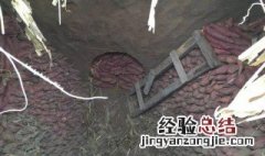 地窖怎么建 如何建造地窖