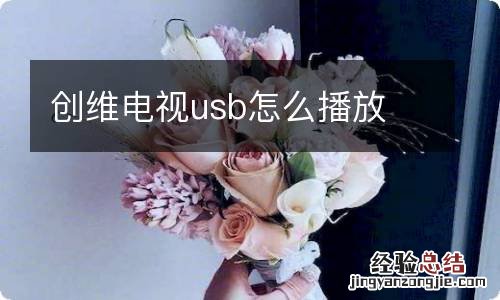 创维电视usb怎么播放