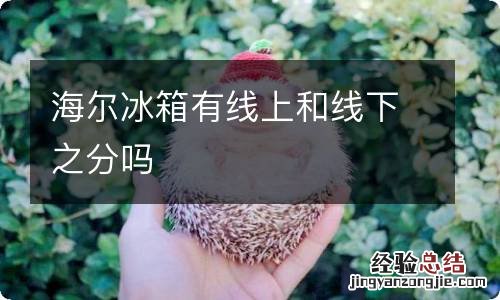 海尔冰箱有线上和线下之分吗