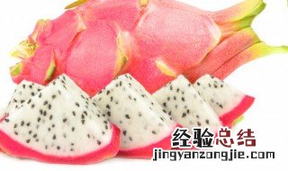 火龙果可以和牛奶一起吃吗 火龙果能和牛奶一起吃吗