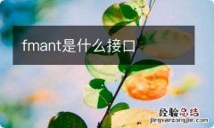 fmant是什么接口