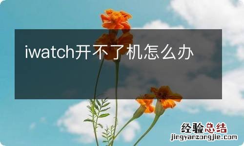 iwatch开不了机怎么办