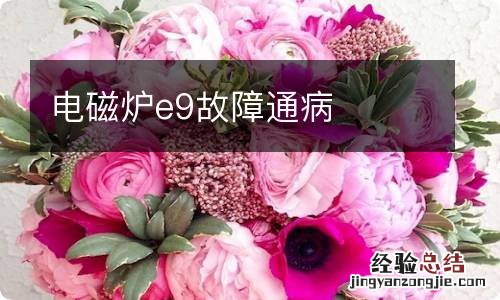电磁炉e9故障通病