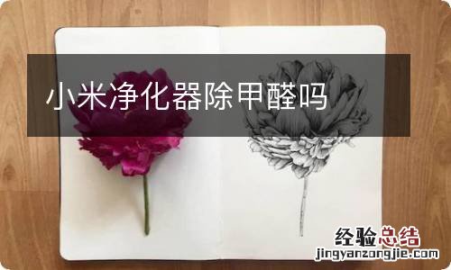 小米净化器除甲醛吗