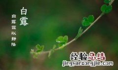 白露节气温度是多少 白露的温度一般是多少