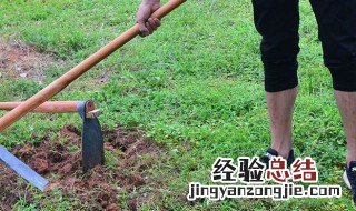 翻地除草方法 除草的步骤介绍