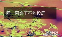 同一网络下不能投屏