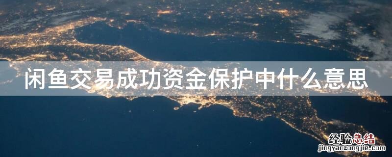 闲鱼交易成功资金保护中什么意思