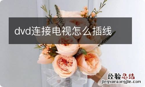 dvd连接电视怎么插线