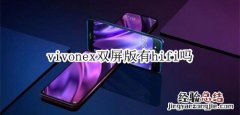 vivonex双屏版有hifi吗