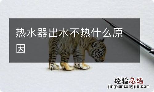 热水器出水不热什么原因