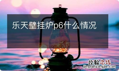 乐天壁挂炉p6什么情况