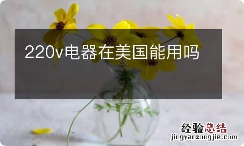 220v電器在美國能用嗎