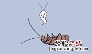 蟑螂踩了以后怎么处理 蟑螂踩了以后处理方法
