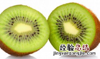 什么猕猴桃硬的可以直接吃 猕猴桃硬的可以直接吃吗